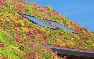Brantham living roof systems