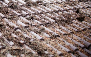 Brantham roof cleaning companies