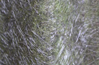 Brantham fibreglass roof work